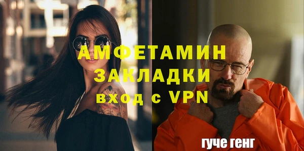 индика Карпинск