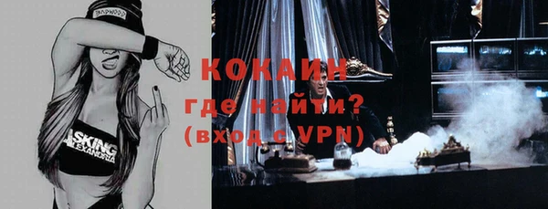 гидра Козловка
