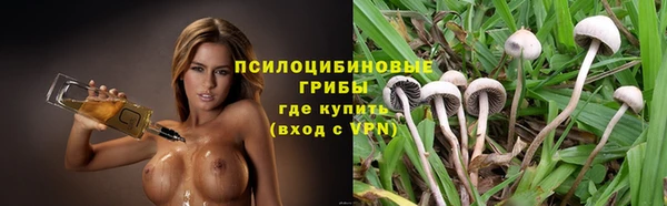 прущие грибы Киреевск