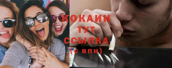 прущие грибы Киреевск