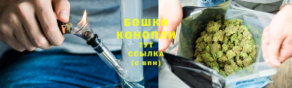 крисы Касимов