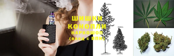прущие грибы Киреевск