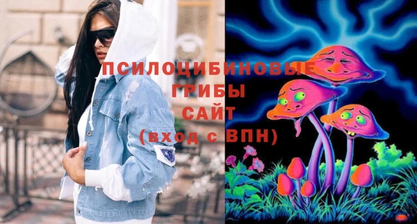 прущие грибы Киреевск