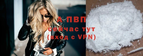 гидра Козловка
