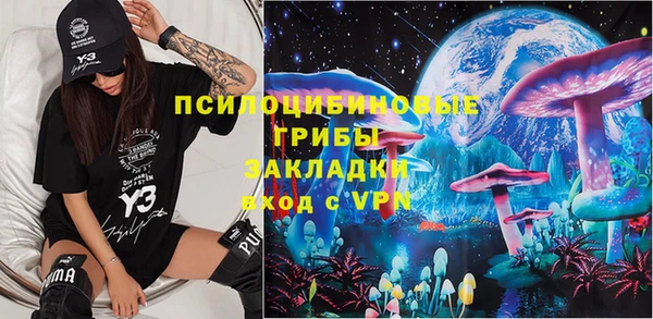 прущие грибы Киреевск